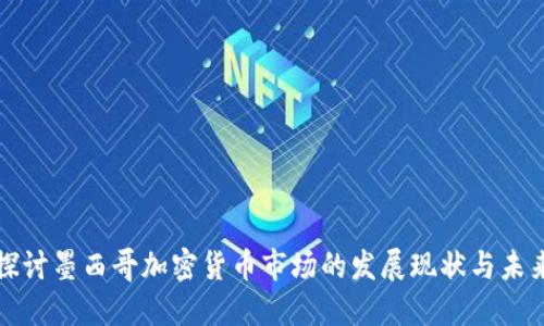 深入探讨墨西哥加密货币市场的发展现状与未来趋势