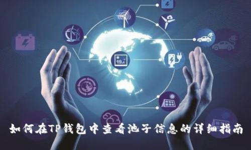 如何在TP钱包中查看池子信息的详细指南