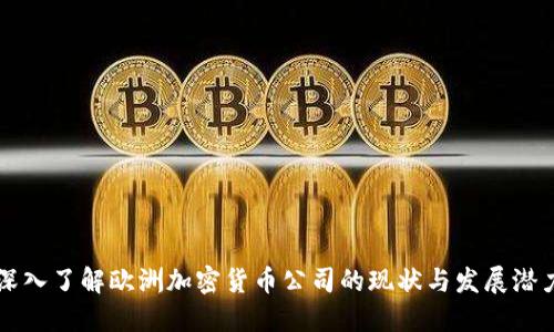 深入了解欧洲加密货币公司的现状与发展潜力