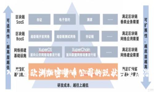 深入了解欧洲加密货币公司的现状与发展潜力