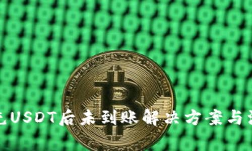 TP钱包充USDT后未到账解决方案与注意事项