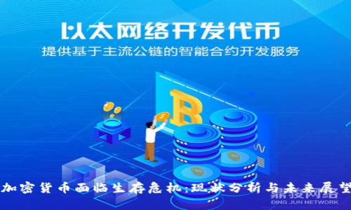 加密货币面临生存危机：现状分析与未来展望