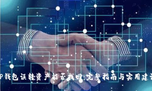 TP钱包误转资产能否找回：完整指南与实用建议
