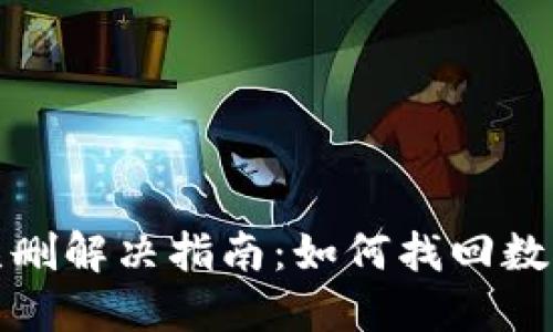 TP钱包被误删解决指南：如何找回数字资产安全