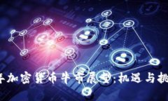 2025年加密货币牛市展望：机遇与挑战解析