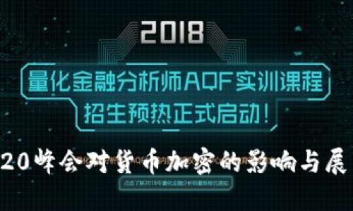 G20峰会对货币加密的影响与展望