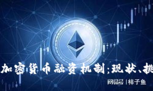 深入探讨加密货币融资机制：现状、挑战与未来