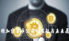 沙特加密货币公司的崛起与未来展望