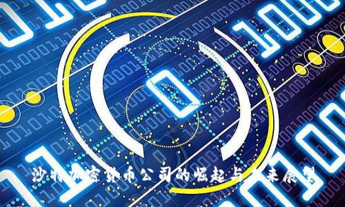 沙特加密货币公司的崛起与未来展望