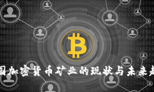 美国加密货币矿业的现状与未来趋势