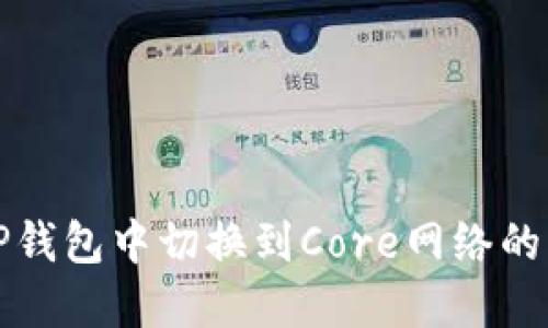 如何在TP钱包中切换到Core网络的详细指南