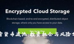 加密货币底池：投资机会与风险分析