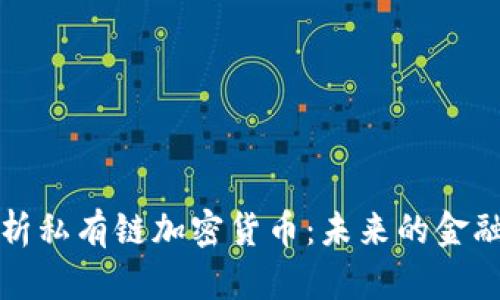 全面解析私有链加密货币：未来的金融改革者