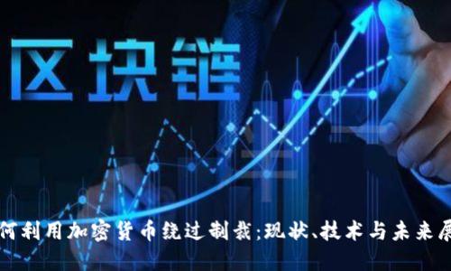 如何利用加密货币绕过制裁：现状、技术与未来展望