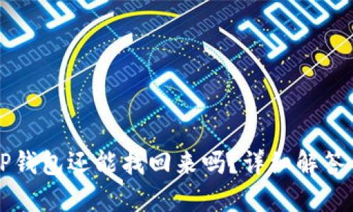 手机掉了TP钱包还能找回来吗？详细解答与应对措施