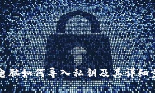 TP钱包电脑如何导入私钥及其详细步骤解析