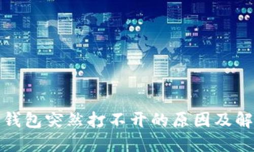 探讨TP钱包突然打不开的原因及解决方案