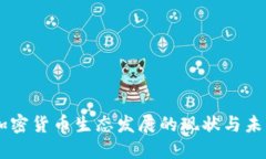 印度加密货币生态发展的现状与未来展望