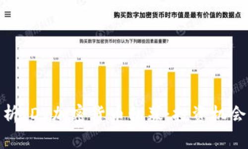 全面解析IDV加密货币私募：投资机会与风险