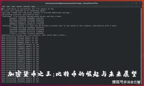 加密货币之王：比特币的崛起与未来展望