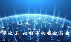 加密货币之王：比特币的崛起与未来展望
