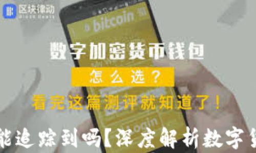 
TP钱包币被盗技术能追踪到吗？深度解析数字货币安全与追踪技术