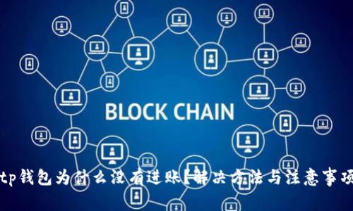扫码tp钱包为什么没有进账？解决方法与注意事项解析