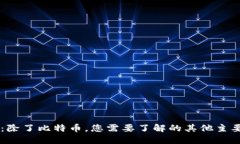 深入探讨：除了比特币，您需要了解的其他主要