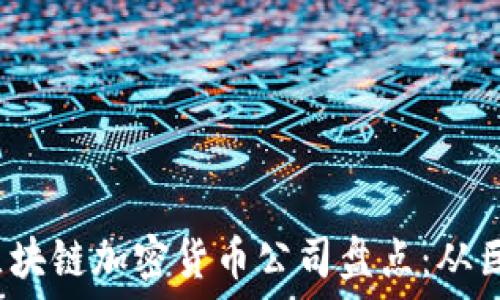   
2023年知名区块链加密货币公司盘点：从巨头到新兴企业