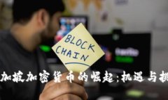 新加坡加密货币的崛起：机遇与挑战