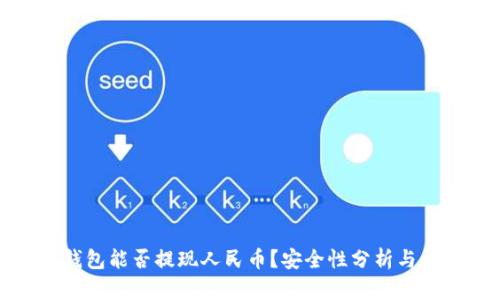 TP钱包能否提现人民币？安全性分析与详解