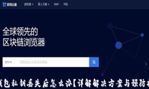 
TP钱包私钥丢失后怎么办？详解解决方案与预防措施