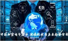 中国加密电子货币：发展现状与未来趋势分析