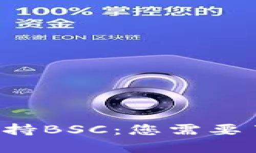 TP钱包App仅支持BSC：您需要了解的全部信息