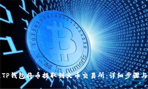 如何通过TP钱包将币提取到火币交易所：详细步骤与通道解析