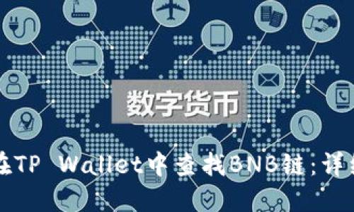 如何在TP Wallet中查找BNB链：详细指南