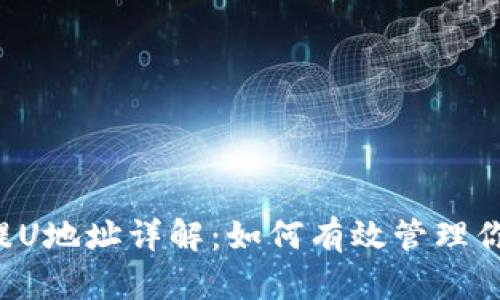 TP钱包提U地址详解：如何有效管理你的USDT