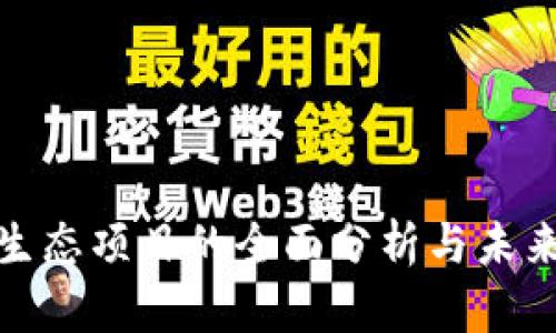 加密货币生态项目的全面分析与未来发展趋势
