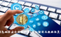 TP钱包删除后会发生什么？详细解析及数据恢复方