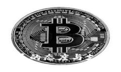 南非国家对加密货币的态度与支持：政策、前景