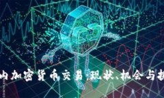 国内加密货币交易：现状、机会与挑战