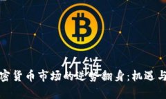 土耳其加密货币市场的逆势翻身：机遇与挑战并