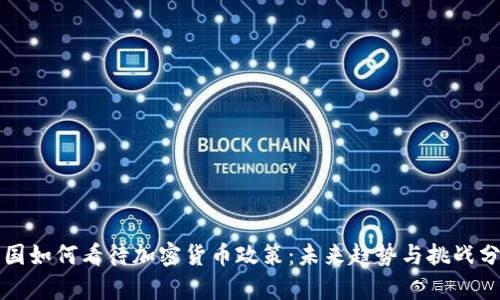 英国如何看待加密货币政策：未来趋势与挑战分析