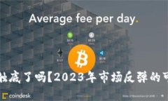 加密货币触底了吗？2023年市场反弹的可能性分析