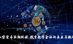 加密货币狂潮现状：探索数字金融的未来与挑战