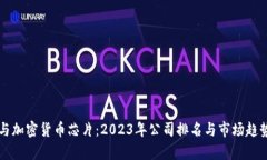 三星与加密货币芯片：2023年公司排名与市场趋势