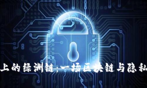 揭秘TP钱包上的绿洲链：一场区块链与隐私保护的革命
