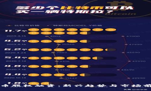 加密货币股权融资：新兴趋势与市场前景解析