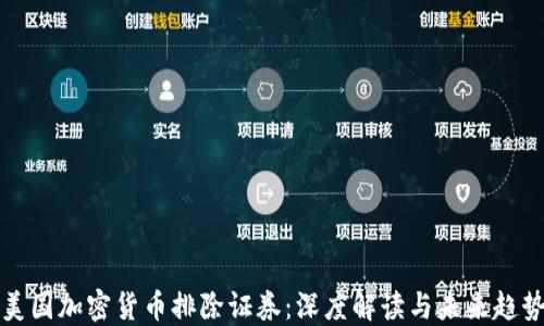 
美国加密货币排除证券：深度解读与未来趋势