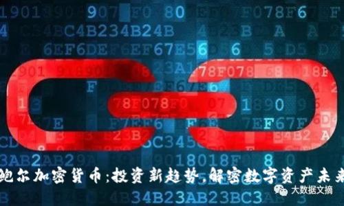 鲍尔加密货币：投资新趋势，解密数字资产未来